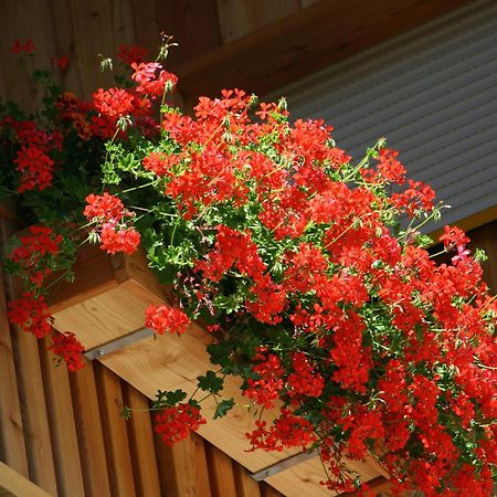 Hotel Schoene Aussicht Картич Екстериор снимка